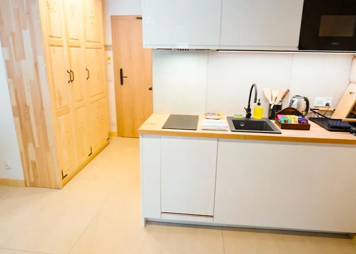 Jaszczurowka 33 & Apartmanhotel